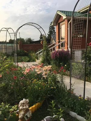 Фотография арки из роз: романтика в саду