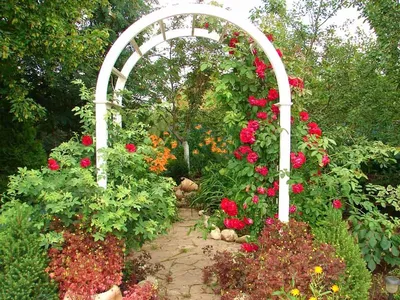 Фото арки для роз своими руками: уникальный дизайн вашего сада