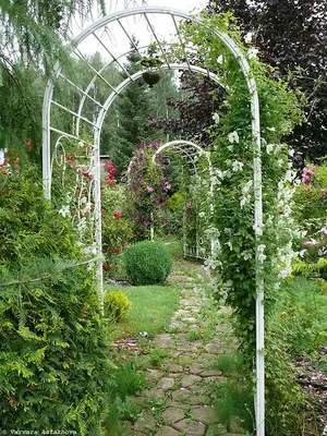 Фото арки для роз своими руками: создайте уют в саду