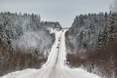 Изысканные зимние виды Архангельска на фото