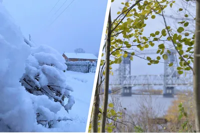 Зимний городской пейзаж: Архангельск в объективе фотографа