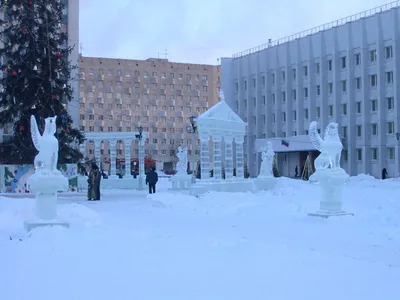 Зимние перспективы: коллекция фотографий Архангельска