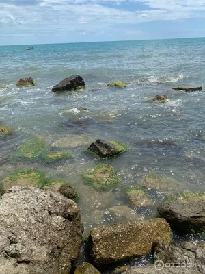 Фотографии Архипо осиповка пляжа: мир спокойствия и гармонии