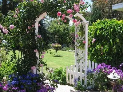 Уникальные изображения арок для плетистых роз в формате webp