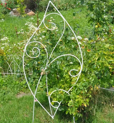 Картинки арок для плетистых роз в формате jpg добавят привлекательности вашему саду