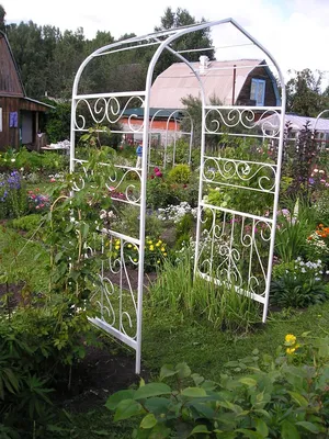 Фотка арок для плетистых роз для создания уютного уголка в саду