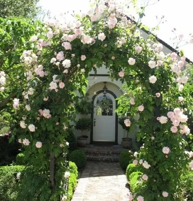 Современные арки для плетистых роз в высоком разрешении