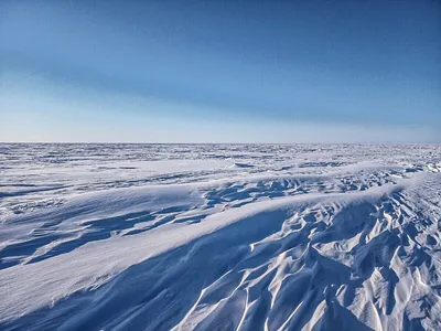 Красивые фотографии Арктической пустыни для скачивания