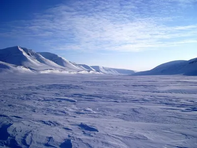 Фотографии: красота и диковина Арктической пустыни
