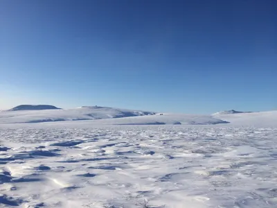 Арктическая пустыня: фотографии, отражающие ее уникальность