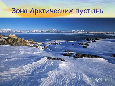 Фотографии Арктической пустыни: природное разнообразие в объективе