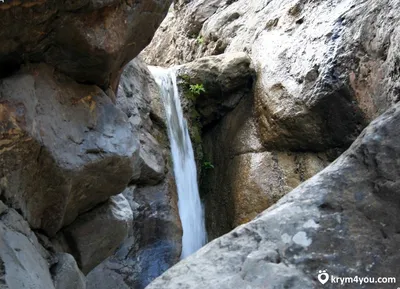 Арпатские водопады фотографии