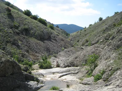 Фотографии Арпатских водопадов: яркие мгновения природы