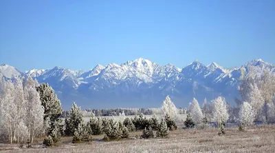 Аршан в зимнем великолепии: Уникальные изображения в разных форматах