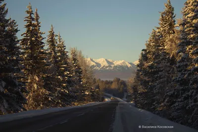 Зимний пейзаж Аршана: Фото и изображения в HD для скачивания
