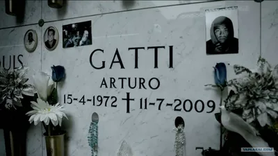 Артуро Гатти на фотографиях: бесплатное скачивание