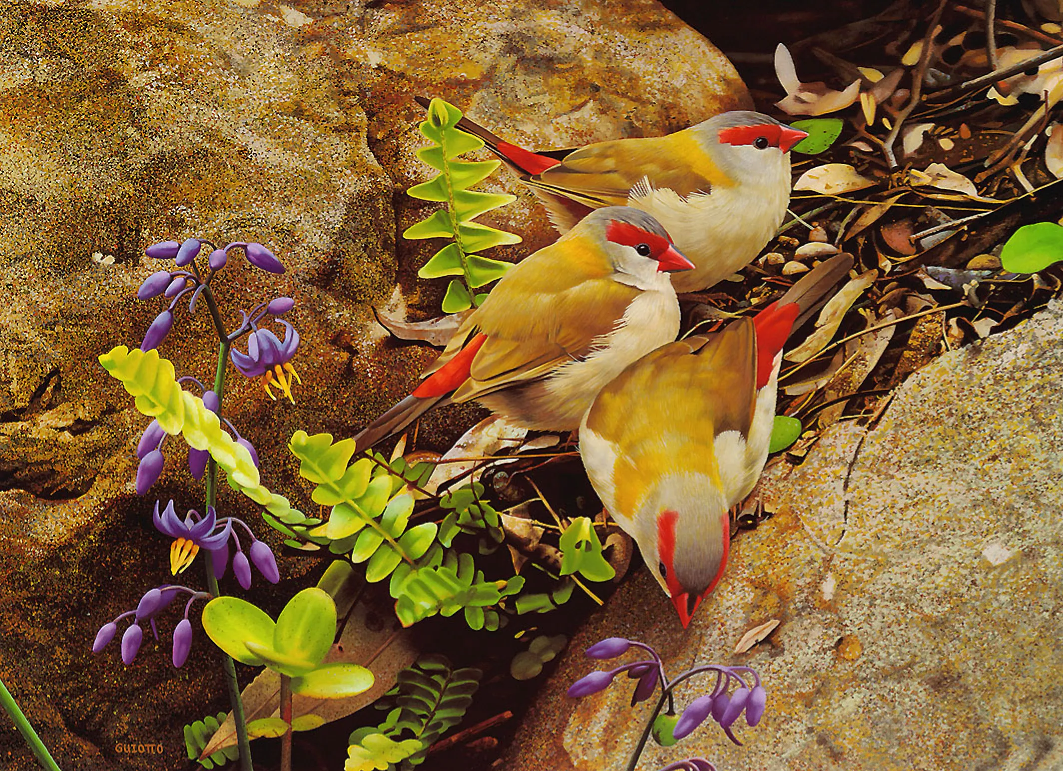 Мир без птиц. Австралийский художник Ego Guiotto. Красивые птицы. Экзотические птицы. Красивая природа с птичками.