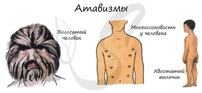 Изображения атавизмов: Раскройте тайны эволюции