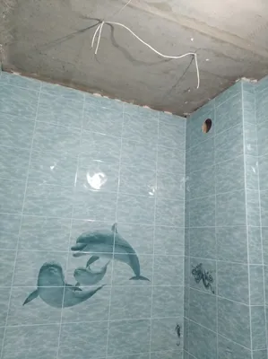 Фото Атепан в ванной: изображение в формате PNG