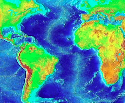 Арт под водой: Уникальные рисунки морской жизни в Атлантическом океане.