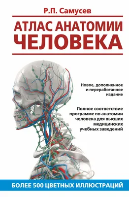 Эксклюзивные кадры: Человеческая анатомия по вашему выбору