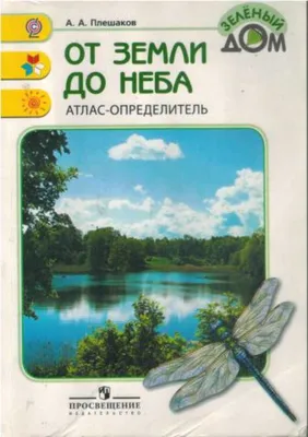 Загляните в мир дикой природы: Атлас определитель от земли до неба растения леса на фото