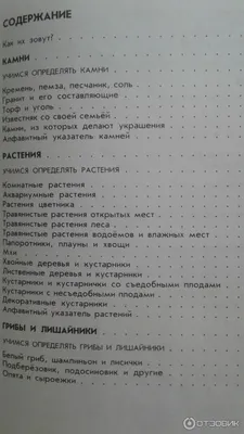 Скачать фото леса бесплатно: погрузитесь в мир природы