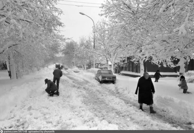 Зимние Мотивы: Фото и Изображения в Различных Форматах