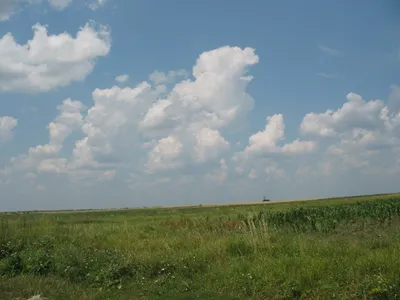 Спектакль цветов: августовские пейзажи на фотографиях