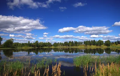 4K рисунки природы: август в высоком разрешении