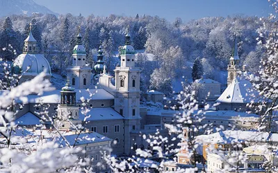 Атмосфера зимней Вены: Фотоальбом с разными размерами изображений