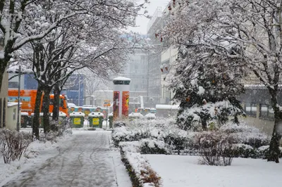 Величественные зимние виды Австрийской столицы: Фотографии WebP