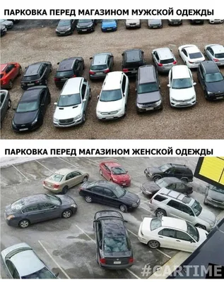 Скачать смешные авто приколы в формате PNG