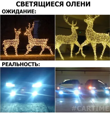 Скачать смешные авто приколы в формате PNG и насладиться