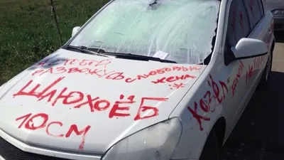 Фотографии смешных авто приколов, чтобы поднять ваше настроение