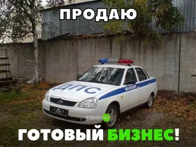 Изображения смешных авто приколов, чтобы поднять ваше настроение в любое время