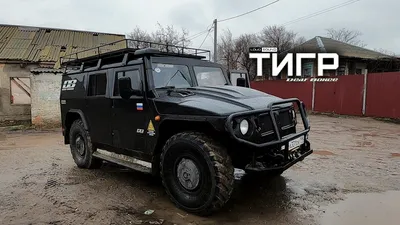 Изображение тигра на роскошной машине