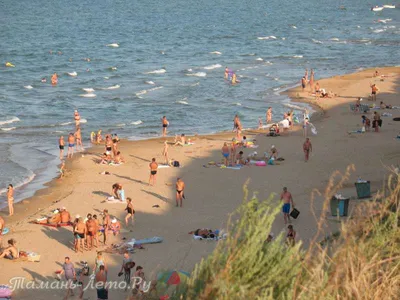 Исследуйте загадочность и спокойствие Азовского моря Кучугуры: фотографии