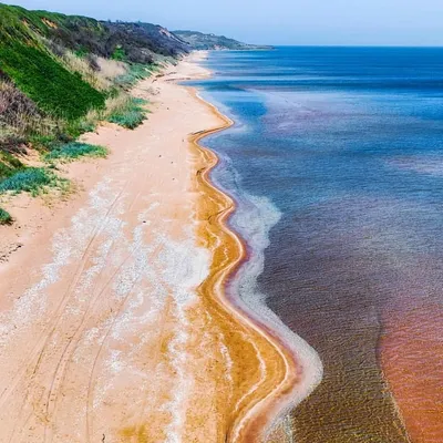 Летнее наслаждение: Погрузитесь в мир пляжа Азовского моря на этих фотографиях