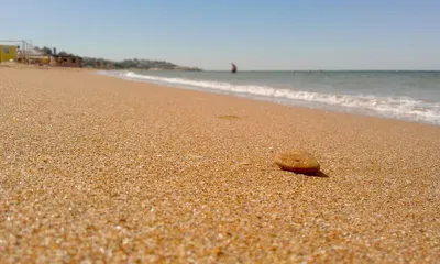 Фотографии пляжа Азовского моря: мерцающая вода и солнечный свет.