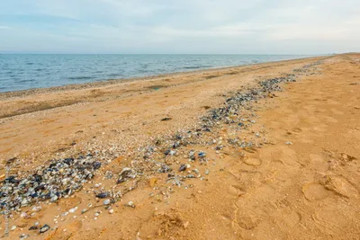 Встреча двух великанов: слияние Азовского моря и неба