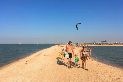 Тайны глубин: подводный мир Азовского моря на фото