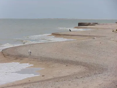 Морской рисунок на Азовском побережье: персонализируй свой экран