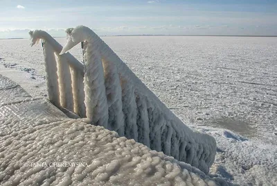 Ледяная стихия: Фотография Азовского моря