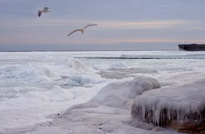 Зимний этюд: Азовское море в картинках