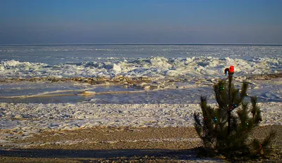 Зимний морской рай: Фото Азовского моря