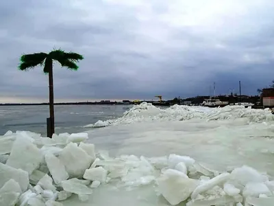 Азовское море в белом наряде: Фотка зимой
