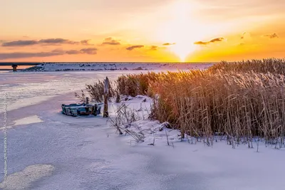 Зимнее вдохновение: Фото Азовского моря зимой