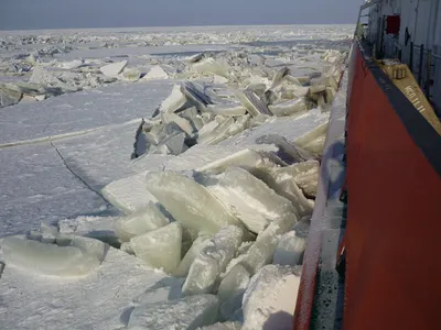 Зимнее волшебство на побережье: Картинки Азовского моря