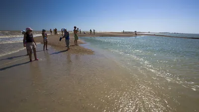 Фотосессия у берегов Азовского моря: пышные песчаные пляжи